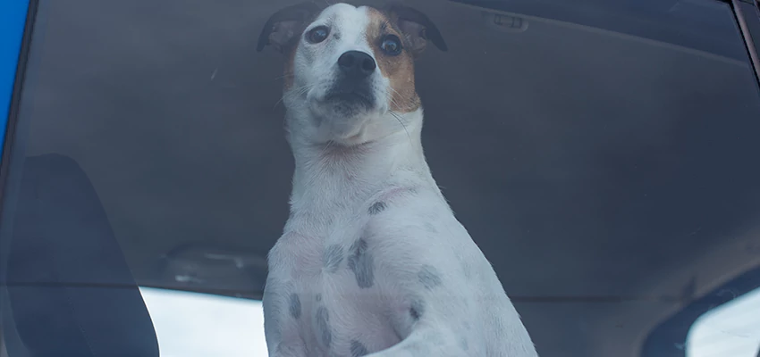 Car Lockout Solutions in Nipomo, California